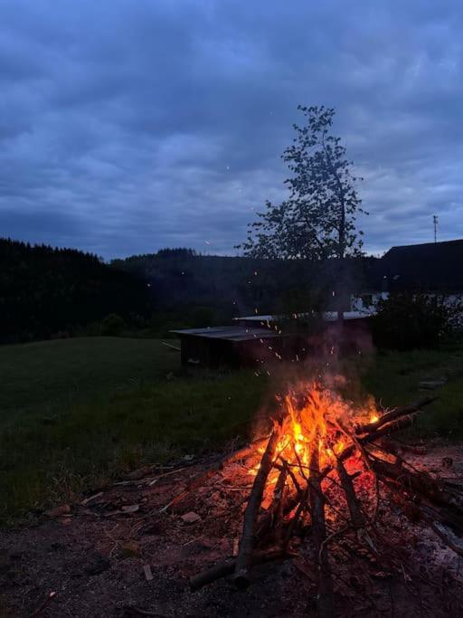 Bornhahn - Idylle Im Westerwald Katzwinkel (Sieg) Exterior foto